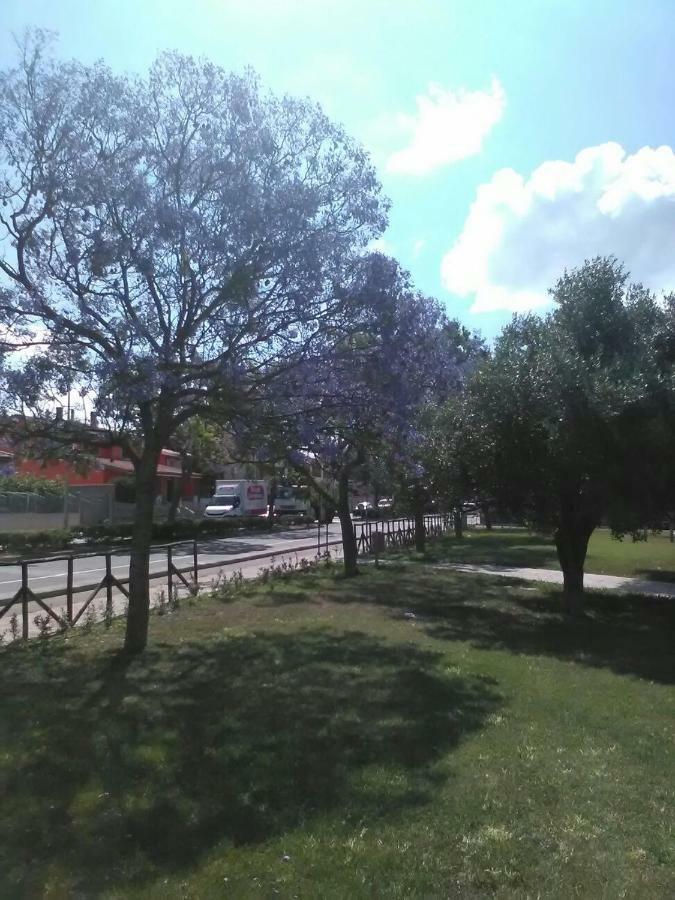 B&B Il Girasole Асемини Екстериор снимка