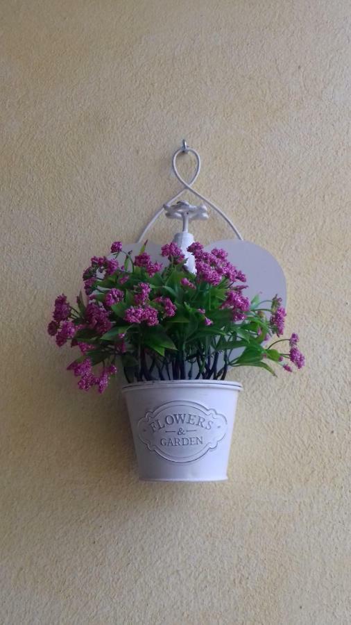 B&B Il Girasole Асемини Екстериор снимка